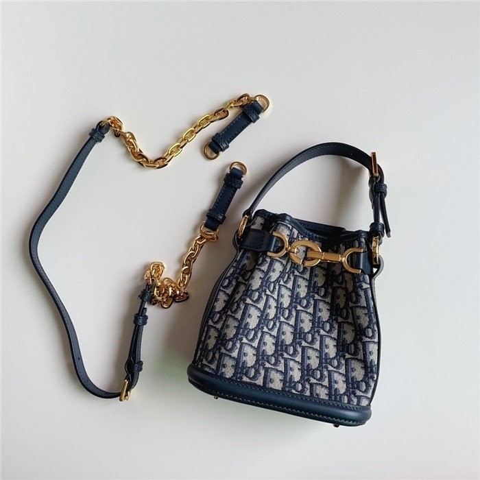 디올 씨에스트 스몰 버킷백 국내배송