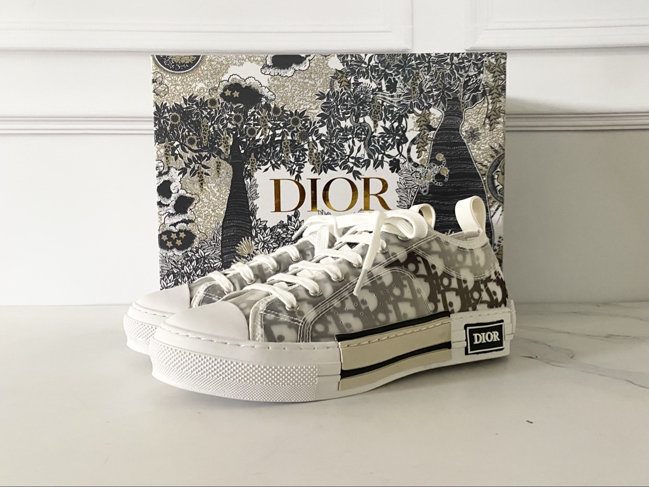 디올 B23 로우 오블리크 캔버스 국내배송