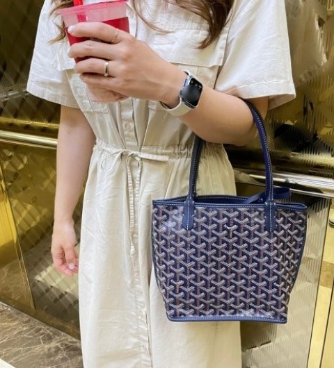 고야드 앙주 양면 숄더백 국내배송