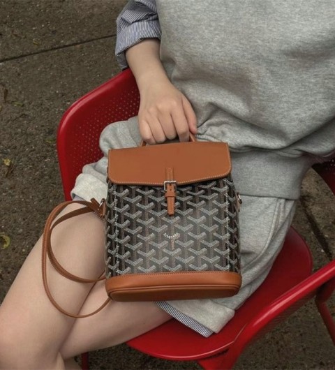 고야드 알팡 백팩 미니 1 국내배송