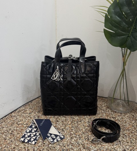 디올 뚜주흐 나노 버티컬 토트백 국내배송